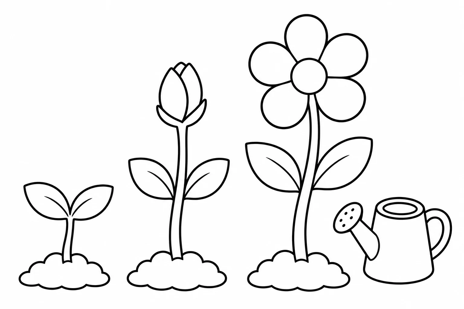 Flowers growing stages — easy flowers coloring page (ages 2–5)